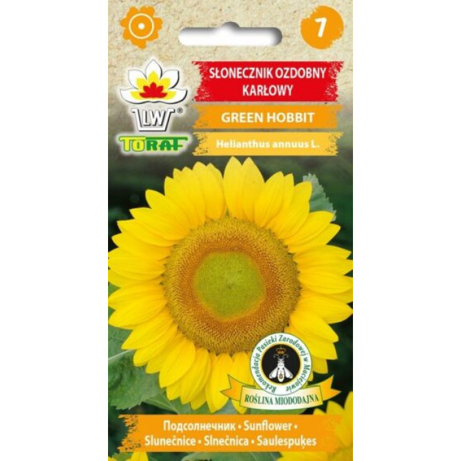 Saulespuķe zemā Green Hobbit 1g