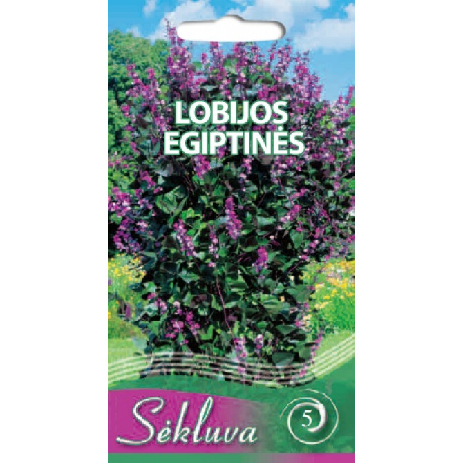 Hiacinšu pupas 8 sēklas