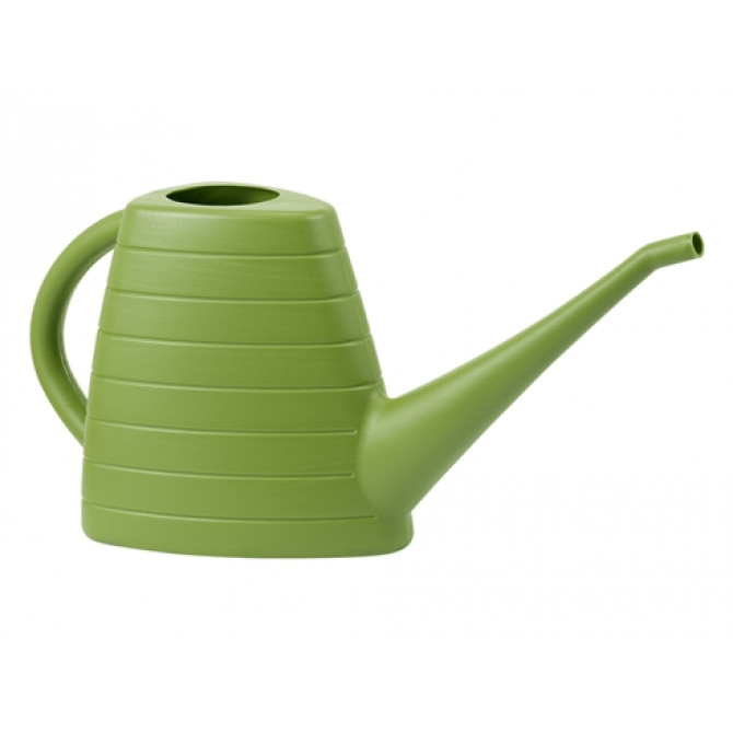 2L Lejkanna NAU OLIVE