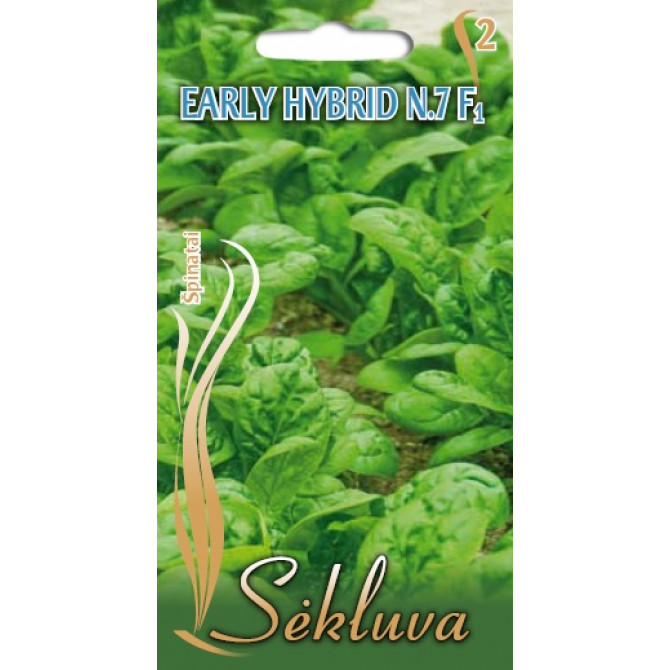 Spināti EARLY HYBRID N.7 F1, 5g