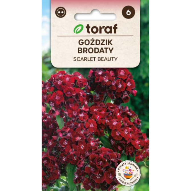 Neļķes studentu Scarlet Beauty 0.5g