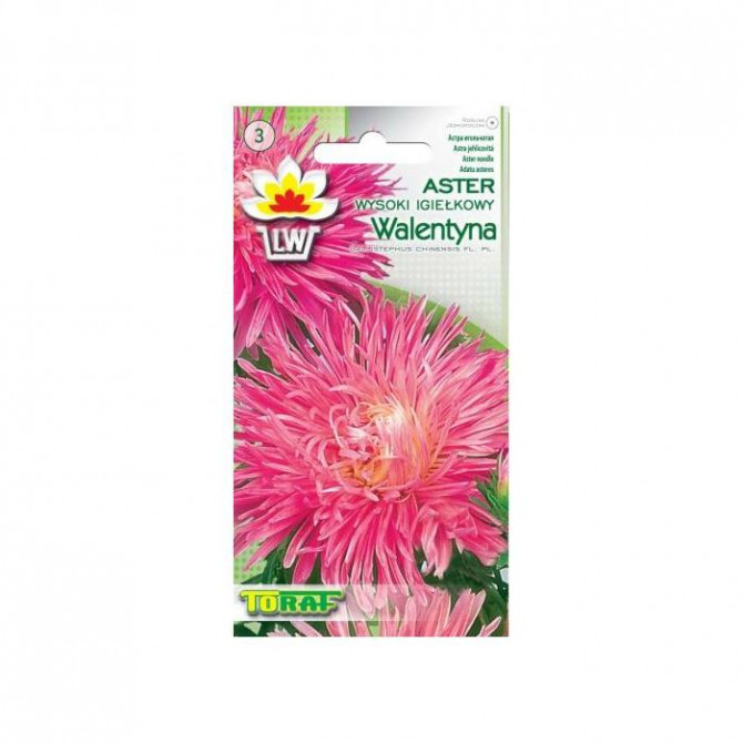 Asteres adatu Walentyna 1g