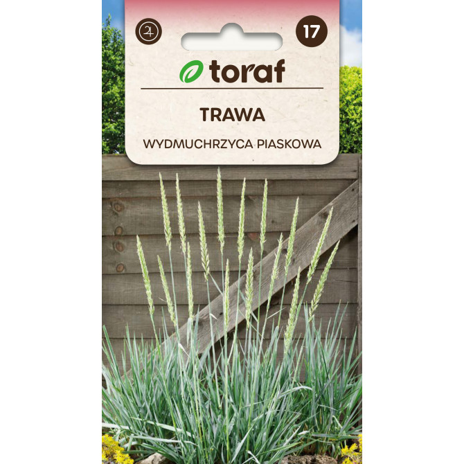 Smiltāja kāpukviesis 10gb