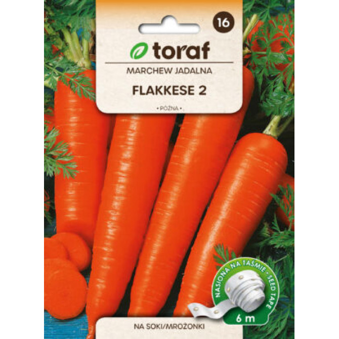 Burkāni uz lentes  Flakkese 2, 6m (420 sēklas)