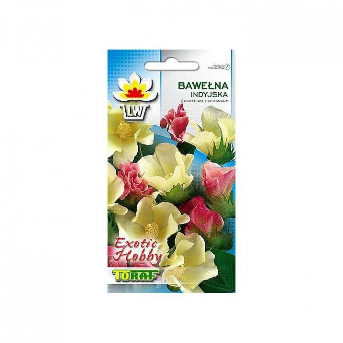 Kokvilna lakstainā 8 sēklas