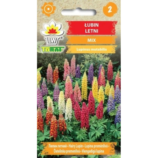 Lupīnas viengadīgās 1g