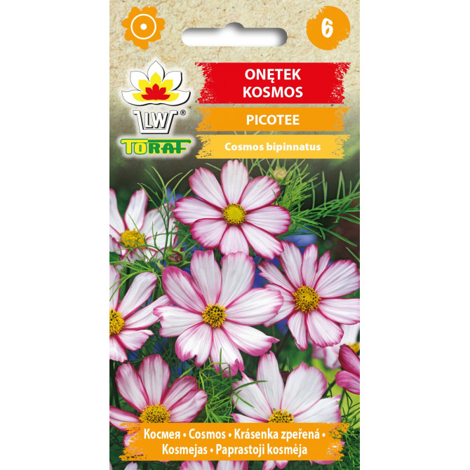 Kosmejas PICOTEE 0.5g