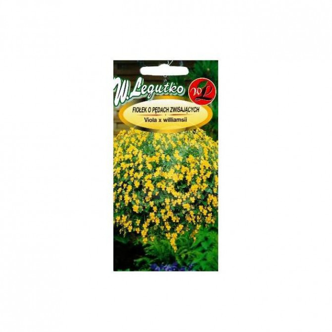 Atraitnītes(vijolītes) nokarenās 0.1g