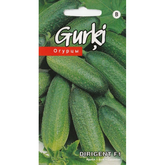 Gurķi Dirigent F1 15 sēklas