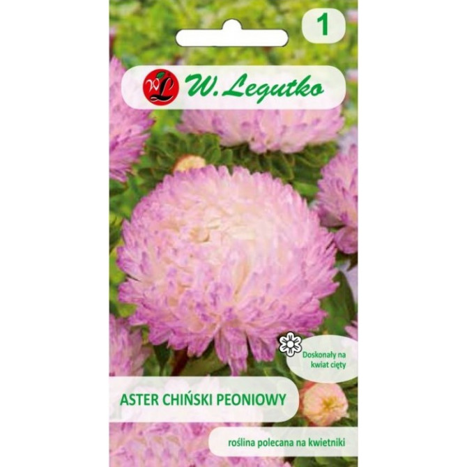 Asteres peoniju rozīgi baltas 1g