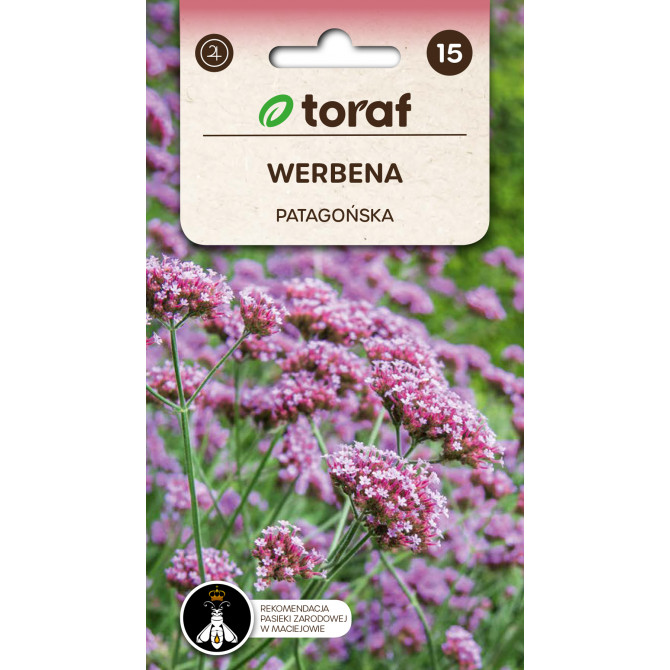 Verbena patagonijas violeta 0.2g