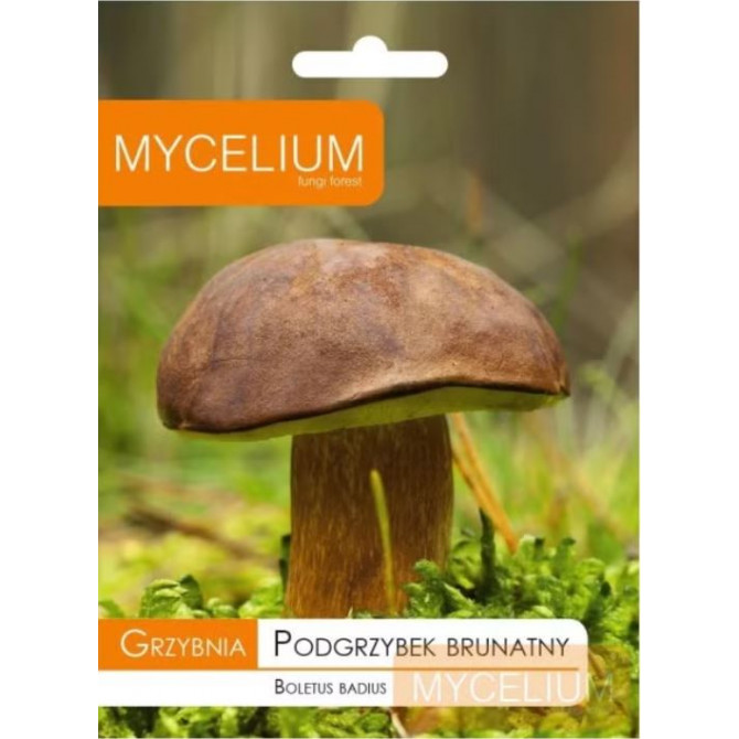 Lāču samtbekas micēlijs 10g