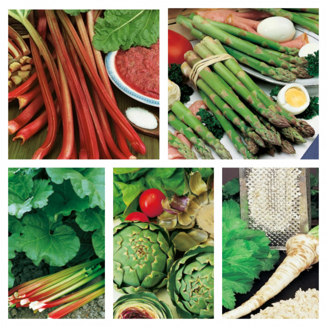 Dārzeņu izlase 20gab