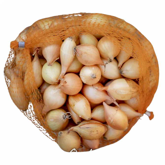 Sīksīpoli fasēti SETTON 14-21mm 20kg/40pac (0.5kg/1pac)