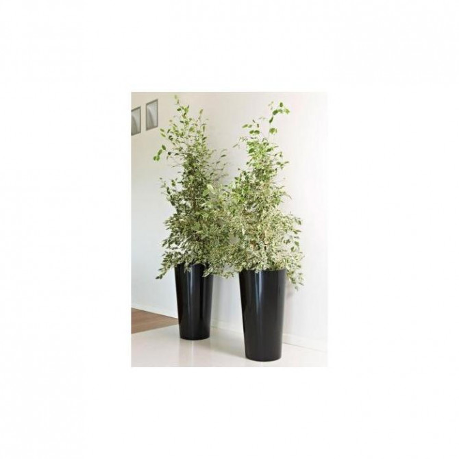  Puķu pods TUIT melns, augstums 60.5cm