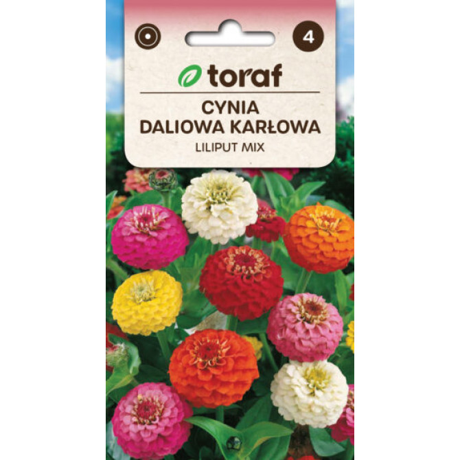 Cinnijas dālijziedu zemās Liliput 0.5g