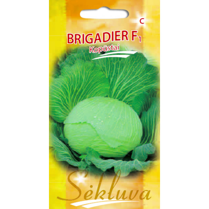 Kāposti galviņkāposti BRIGADIER F1, 40 sēklas