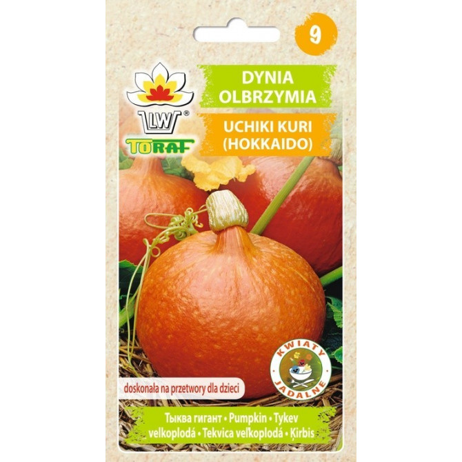 Ķirbis Uchiki Kuri (Hokkaido-Japāņu ķirbis) 3g