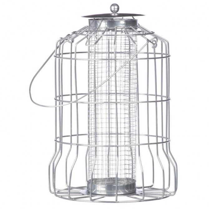 Barotava putniem Tintti riekstiem