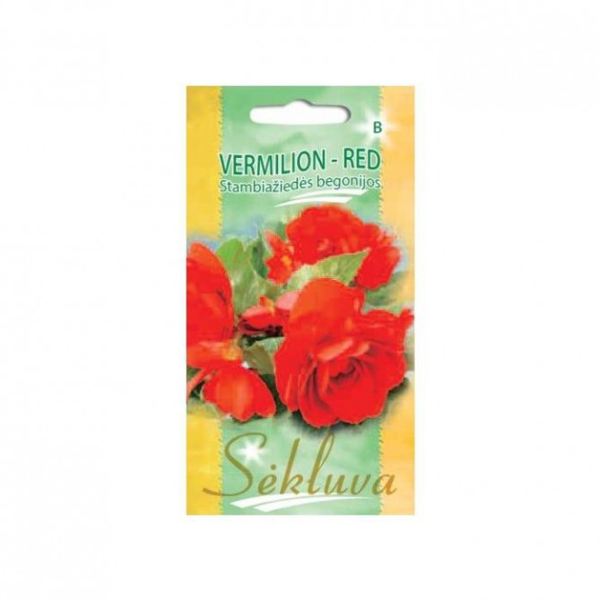 Begonijas sēklas VERMILION RED 30 sēklas