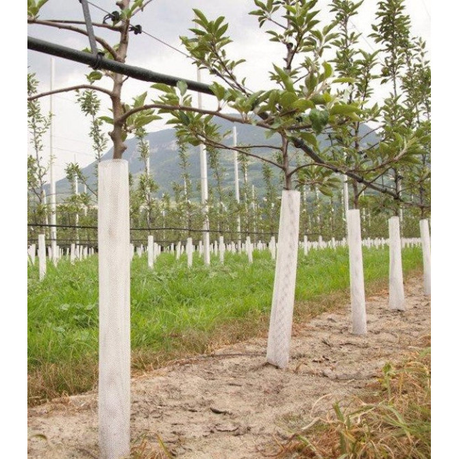 Aizsargsiets kokiem BALTS 6x110cm 1gb