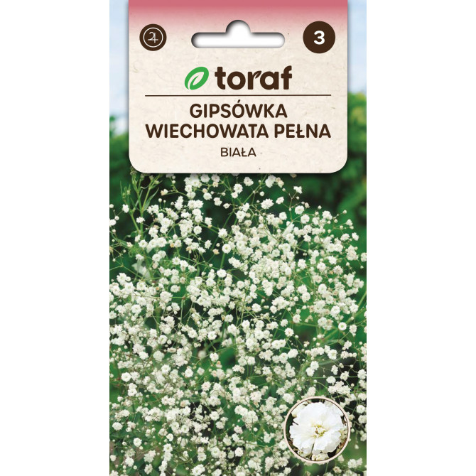 Gipsofīla skarainā Balta 0.5g