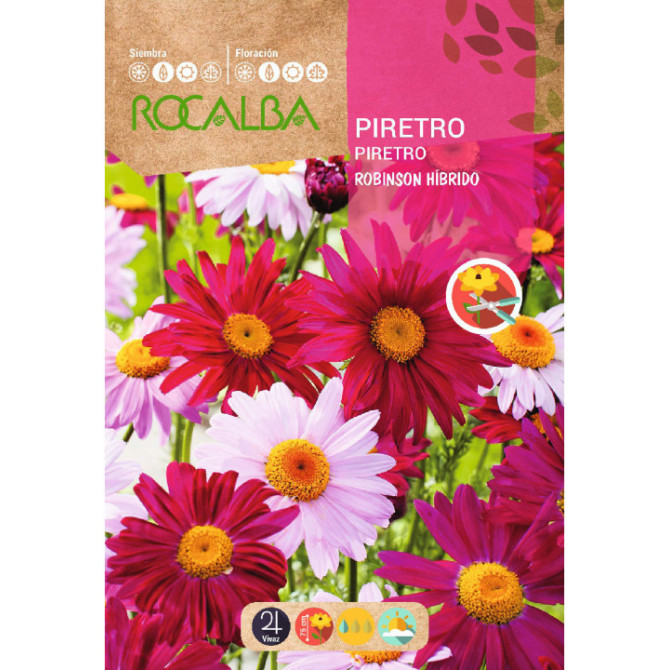 Pīpene krāsainā Robinson 1g