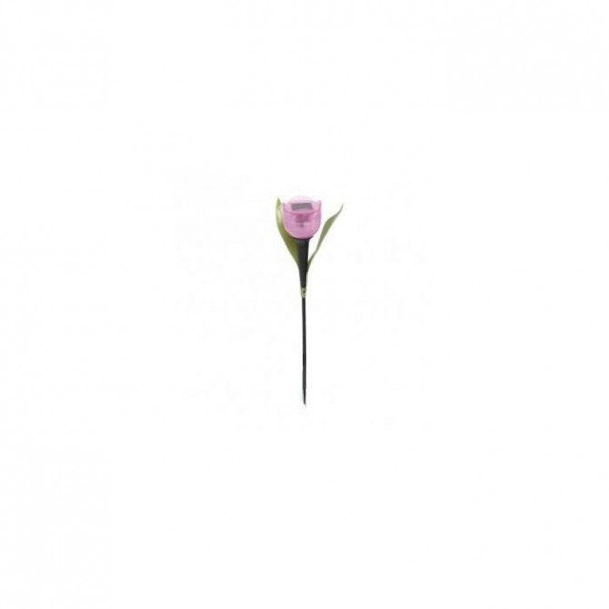  Dekors dārza solārlampa Tulpe 33cm