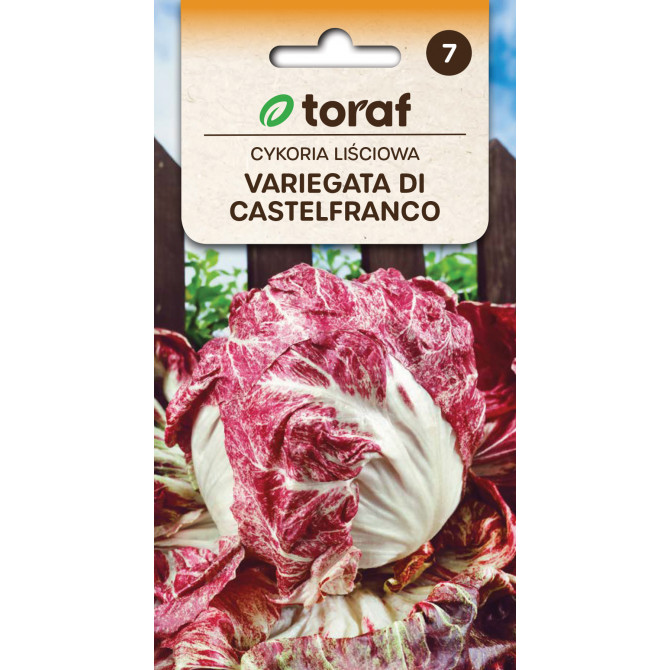 Cigoriņi lapu VARIEGATA DI CASTELFRANCO 5g
