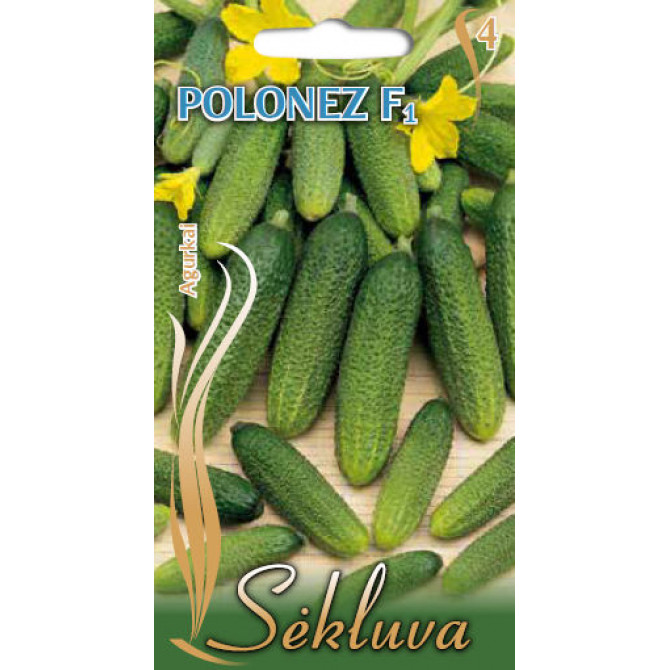 Gurķi POLONEZ F1, 2g