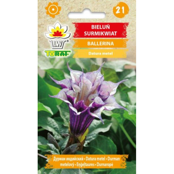 Eņģeltaures BALLERINA 5 sēklas