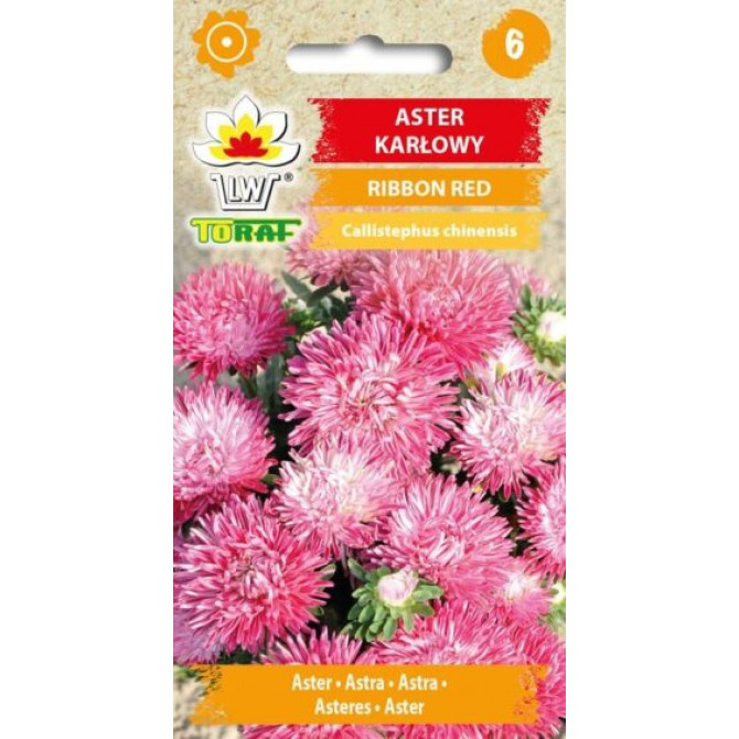 Asteres zemās Ribbon Red 0.5g