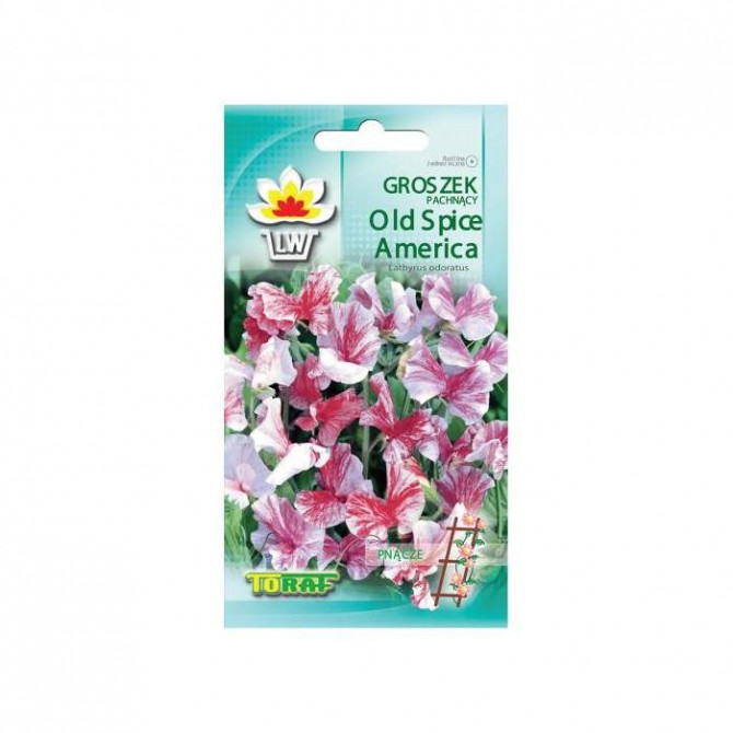 Puķu zirņi Old Spice America 2g