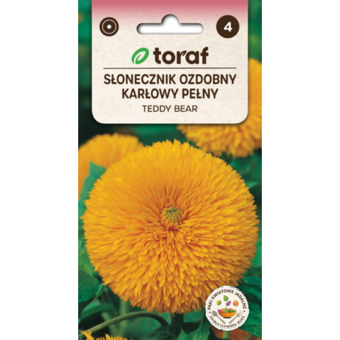 Saulespuķe zemā Teddy bear 3g