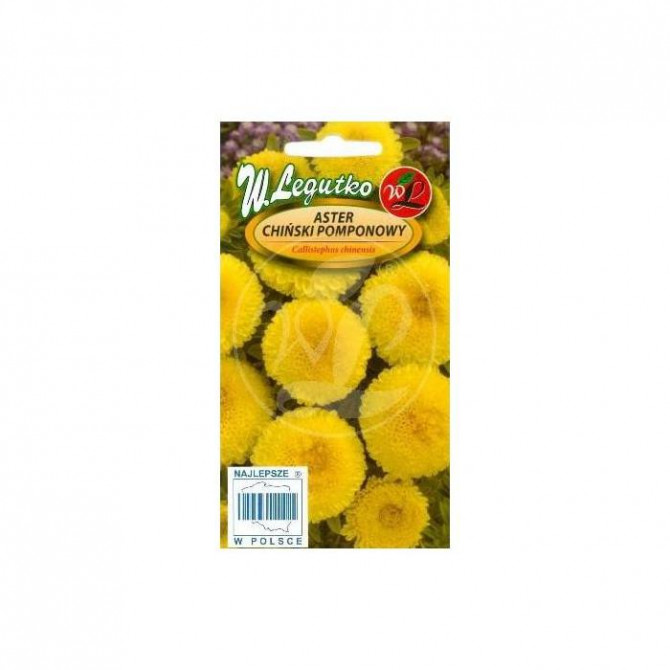Asteres pomponziedu dzeltenas 1g