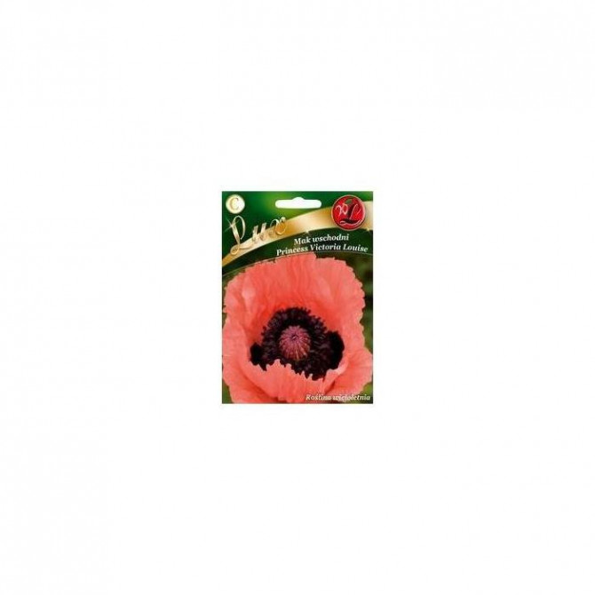 Magone Austrumu Princess Victoria Louise 0.2g